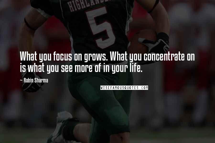Robin Sharma Quotes: What you focus on grows. What you concentrate on is what you see more of in your life.