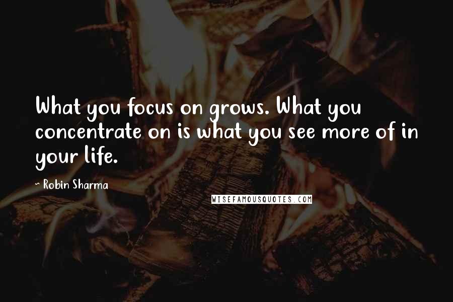 Robin Sharma Quotes: What you focus on grows. What you concentrate on is what you see more of in your life.