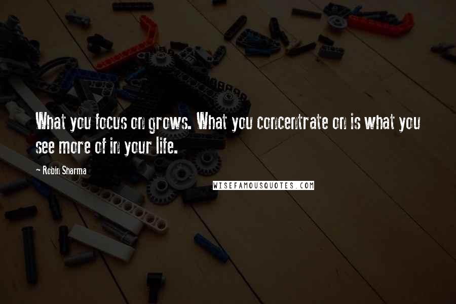 Robin Sharma Quotes: What you focus on grows. What you concentrate on is what you see more of in your life.