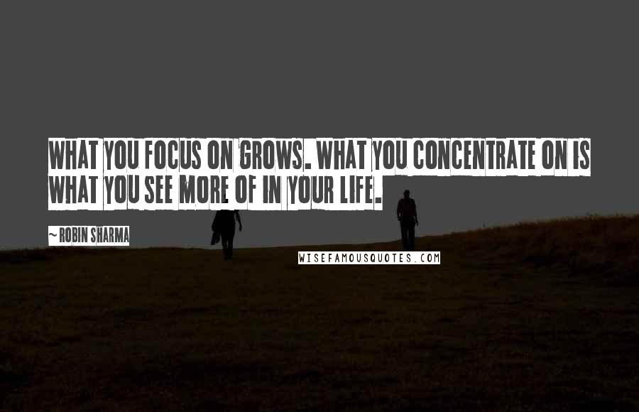 Robin Sharma Quotes: What you focus on grows. What you concentrate on is what you see more of in your life.