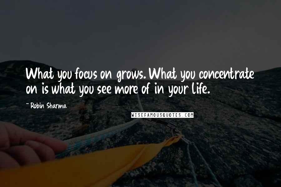 Robin Sharma Quotes: What you focus on grows. What you concentrate on is what you see more of in your life.