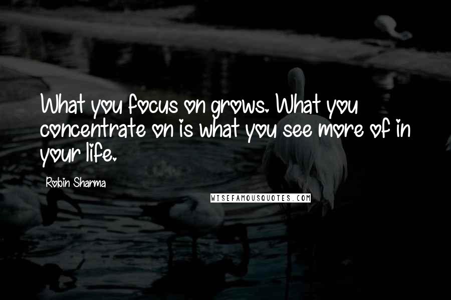 Robin Sharma Quotes: What you focus on grows. What you concentrate on is what you see more of in your life.