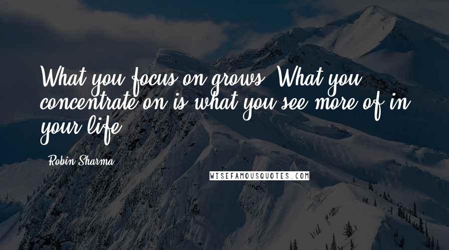 Robin Sharma Quotes: What you focus on grows. What you concentrate on is what you see more of in your life.