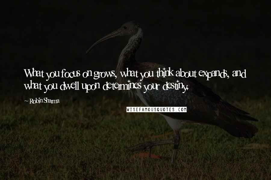 Robin Sharma Quotes: What you focus on grows, what you think about expands, and what you dwell upon determines your destiny.