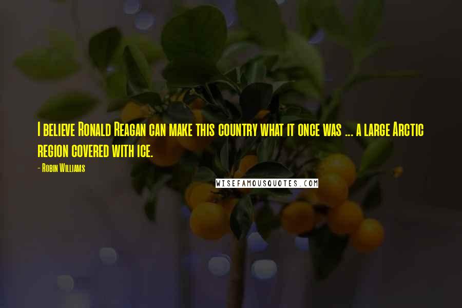 Robin Williams Quotes: I believe Ronald Reagan can make this country what it once was ... a large Arctic region covered with ice.