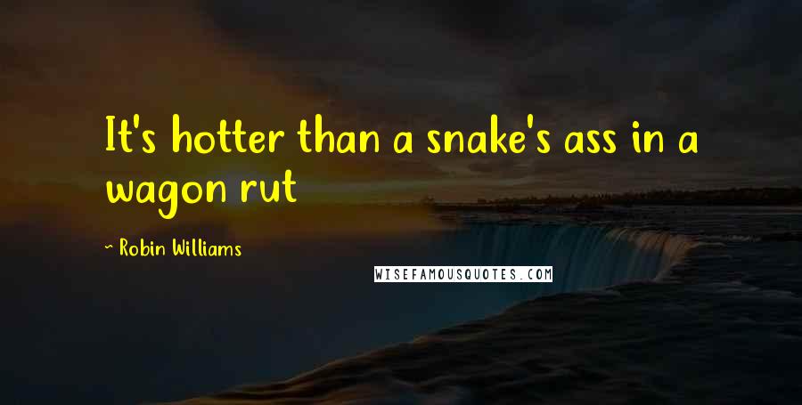 Robin Williams Quotes: It's hotter than a snake's ass in a wagon rut