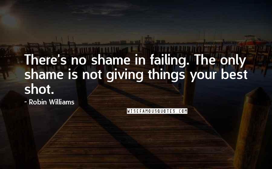 Robin Williams Quotes: There's no shame in failing. The only shame is not giving things your best shot.