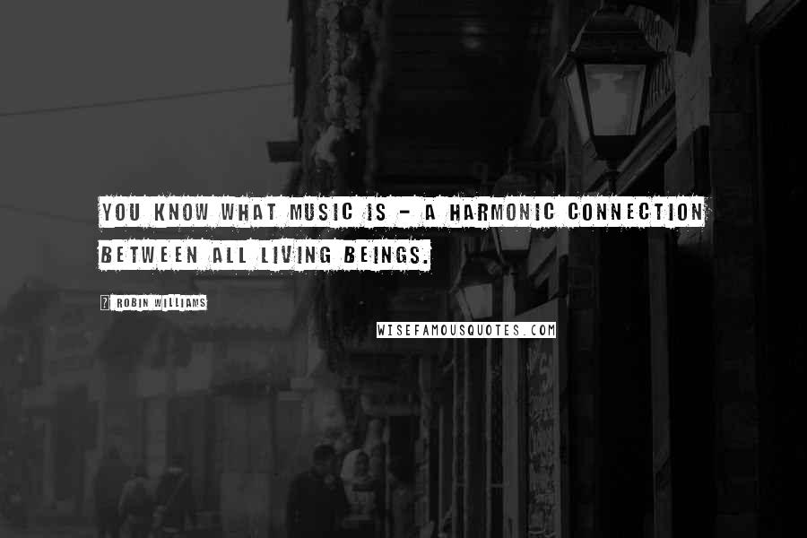 Robin Williams Quotes: You know what music is - a harmonic connection between all living beings.