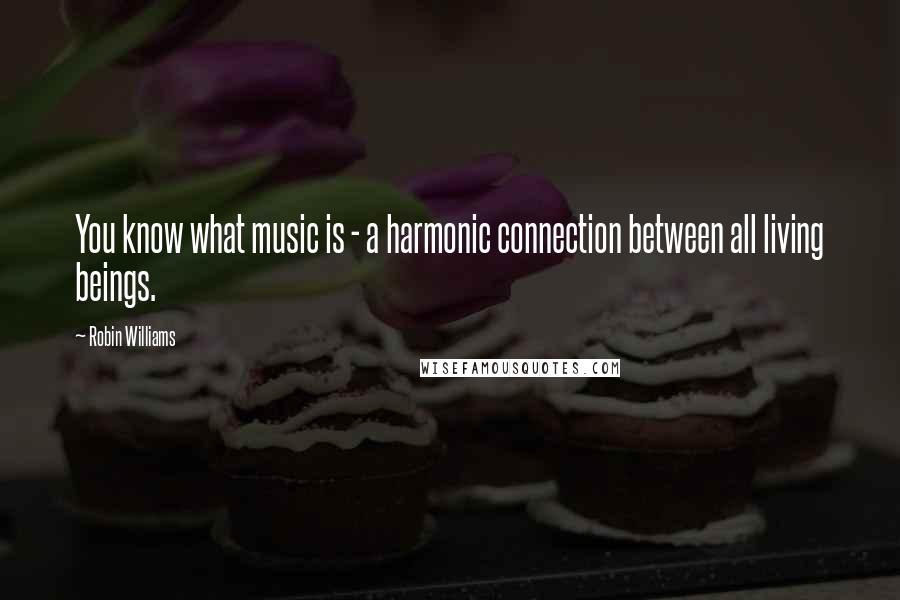 Robin Williams Quotes: You know what music is - a harmonic connection between all living beings.