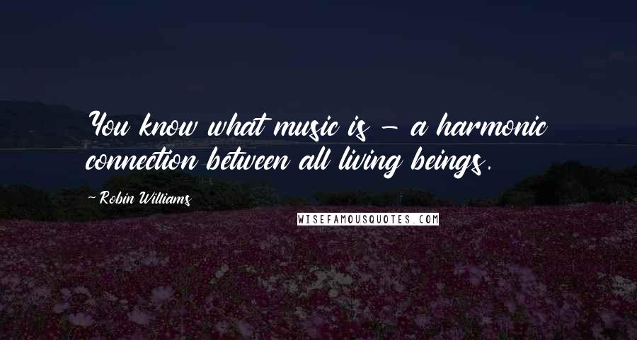 Robin Williams Quotes: You know what music is - a harmonic connection between all living beings.