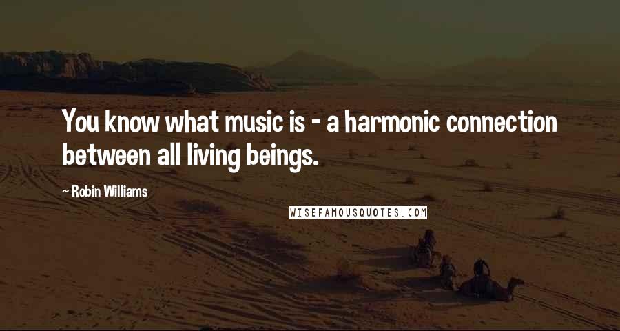 Robin Williams Quotes: You know what music is - a harmonic connection between all living beings.