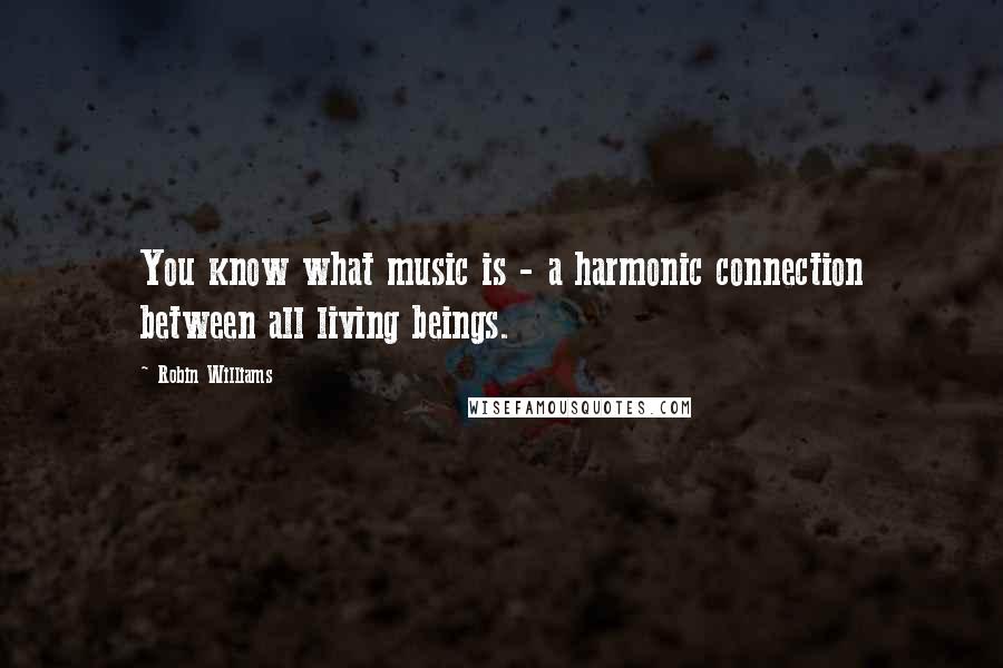 Robin Williams Quotes: You know what music is - a harmonic connection between all living beings.