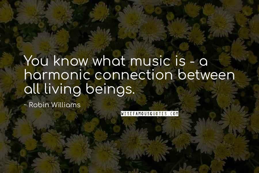 Robin Williams Quotes: You know what music is - a harmonic connection between all living beings.