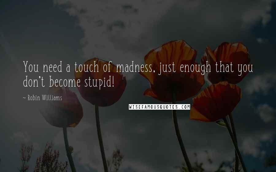 Robin Williams Quotes: You need a touch of madness, just enough that you don't become stupid!