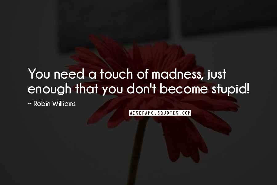 Robin Williams Quotes: You need a touch of madness, just enough that you don't become stupid!