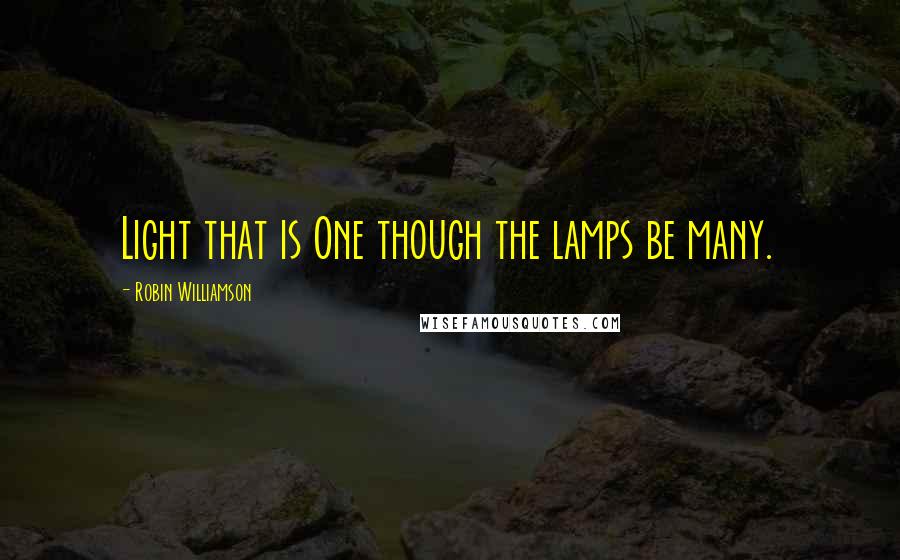Robin Williamson Quotes: Light that is One though the lamps be many.