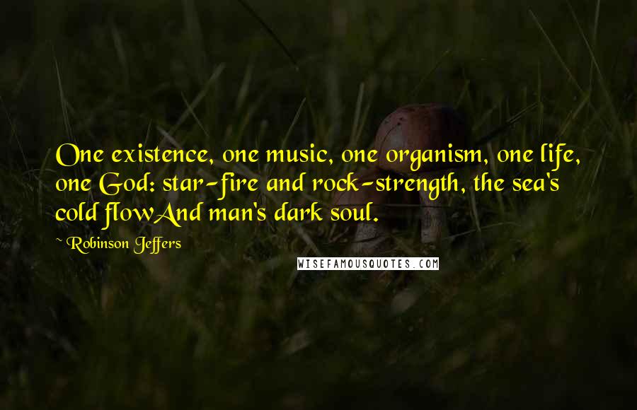 Robinson Jeffers Quotes: One existence, one music, one organism, one life, one God: star-fire and rock-strength, the sea's cold flowAnd man's dark soul.