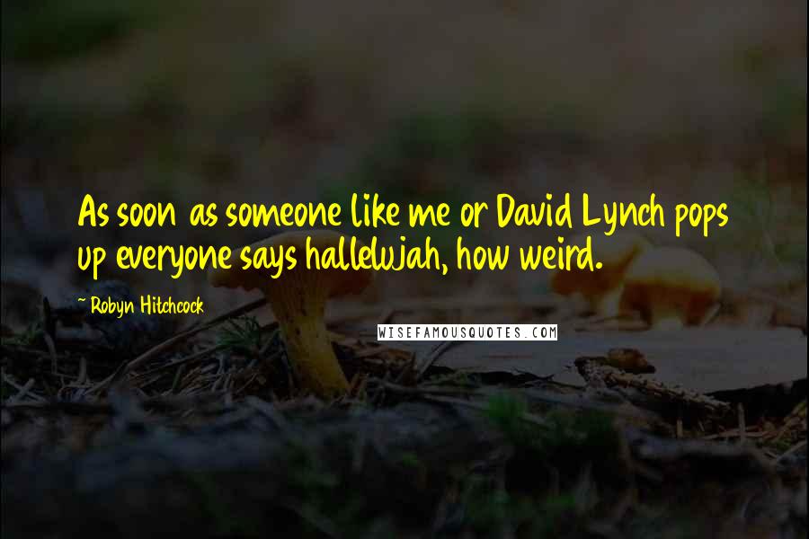 Robyn Hitchcock Quotes: As soon as someone like me or David Lynch pops up everyone says hallelujah, how weird.