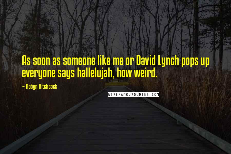 Robyn Hitchcock Quotes: As soon as someone like me or David Lynch pops up everyone says hallelujah, how weird.