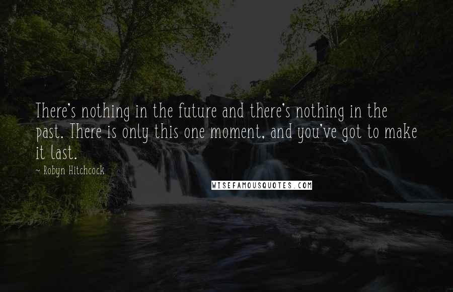 Robyn Hitchcock Quotes: There's nothing in the future and there's nothing in the past. There is only this one moment, and you've got to make it last.