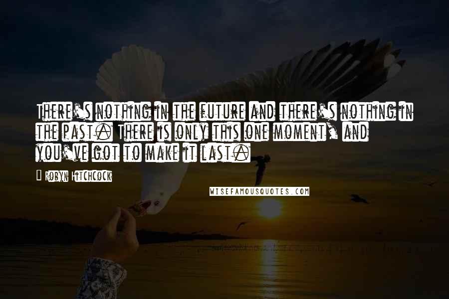 Robyn Hitchcock Quotes: There's nothing in the future and there's nothing in the past. There is only this one moment, and you've got to make it last.