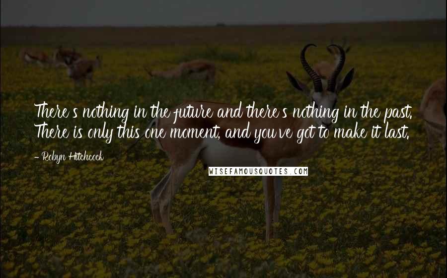 Robyn Hitchcock Quotes: There's nothing in the future and there's nothing in the past. There is only this one moment, and you've got to make it last.
