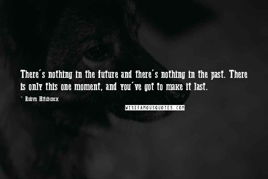 Robyn Hitchcock Quotes: There's nothing in the future and there's nothing in the past. There is only this one moment, and you've got to make it last.