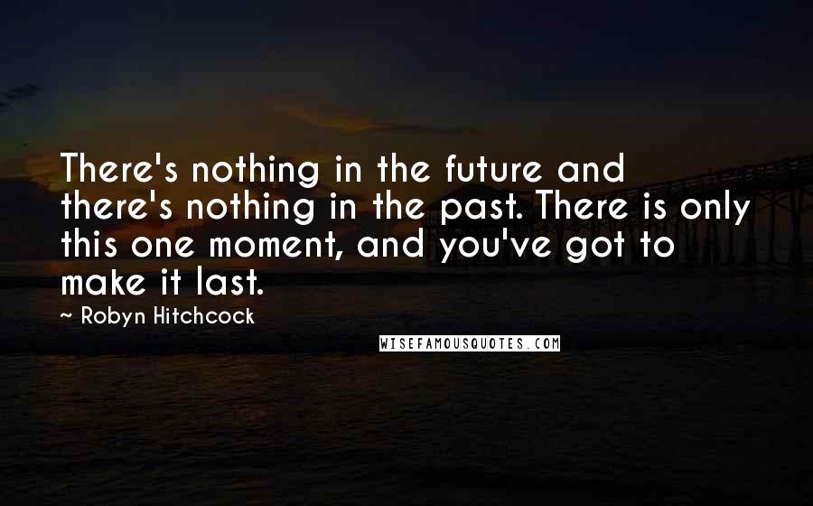 Robyn Hitchcock Quotes: There's nothing in the future and there's nothing in the past. There is only this one moment, and you've got to make it last.