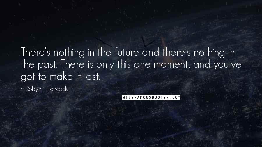 Robyn Hitchcock Quotes: There's nothing in the future and there's nothing in the past. There is only this one moment, and you've got to make it last.