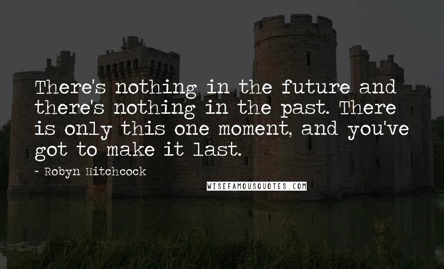 Robyn Hitchcock Quotes: There's nothing in the future and there's nothing in the past. There is only this one moment, and you've got to make it last.