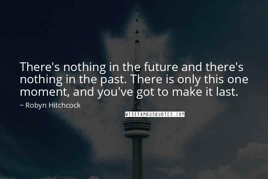 Robyn Hitchcock Quotes: There's nothing in the future and there's nothing in the past. There is only this one moment, and you've got to make it last.