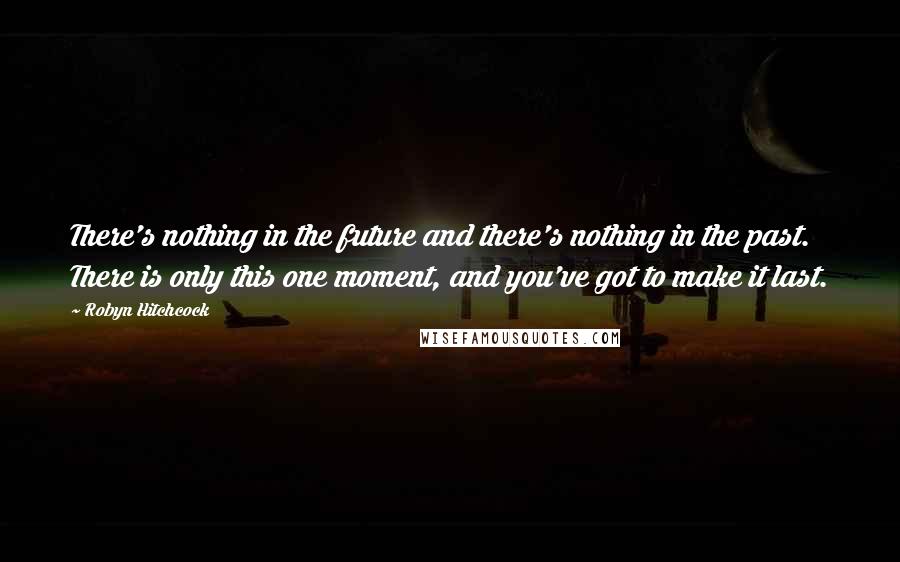 Robyn Hitchcock Quotes: There's nothing in the future and there's nothing in the past. There is only this one moment, and you've got to make it last.