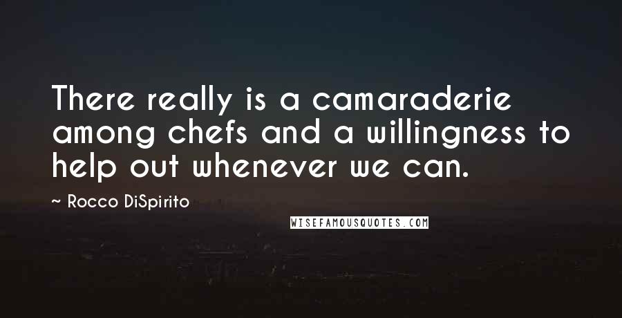 Rocco DiSpirito Quotes: There really is a camaraderie among chefs and a willingness to help out whenever we can.