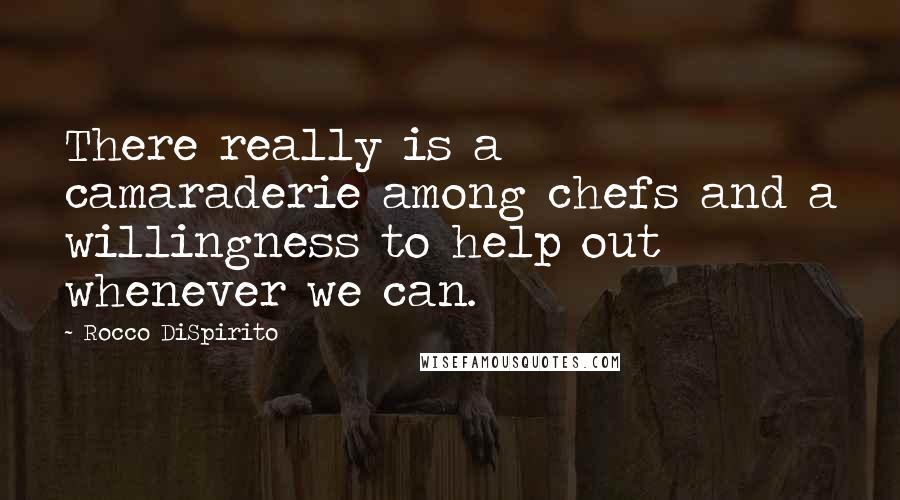 Rocco DiSpirito Quotes: There really is a camaraderie among chefs and a willingness to help out whenever we can.