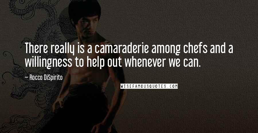 Rocco DiSpirito Quotes: There really is a camaraderie among chefs and a willingness to help out whenever we can.