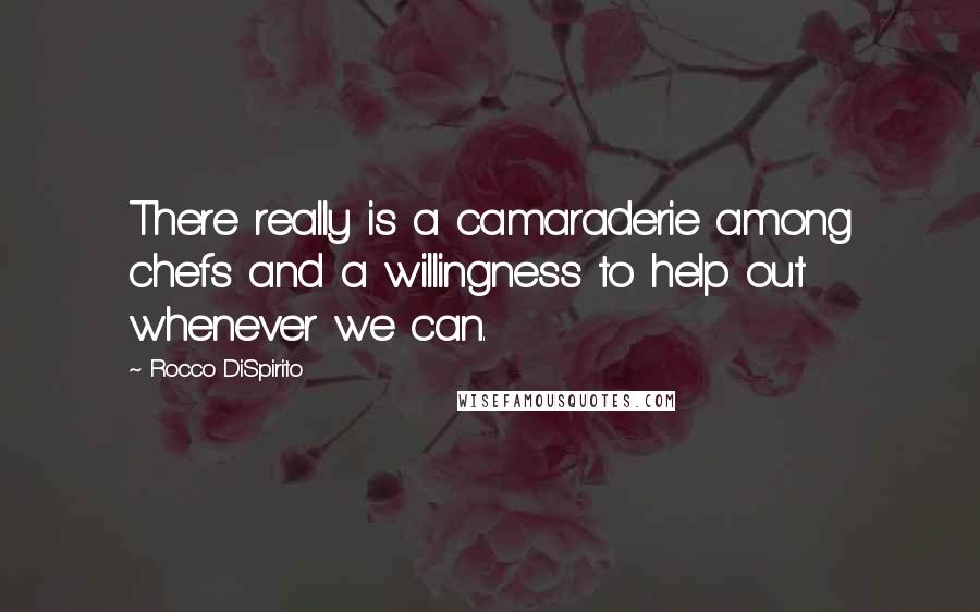 Rocco DiSpirito Quotes: There really is a camaraderie among chefs and a willingness to help out whenever we can.