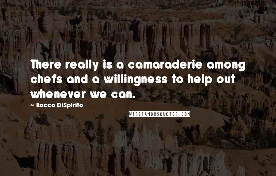 Rocco DiSpirito Quotes: There really is a camaraderie among chefs and a willingness to help out whenever we can.