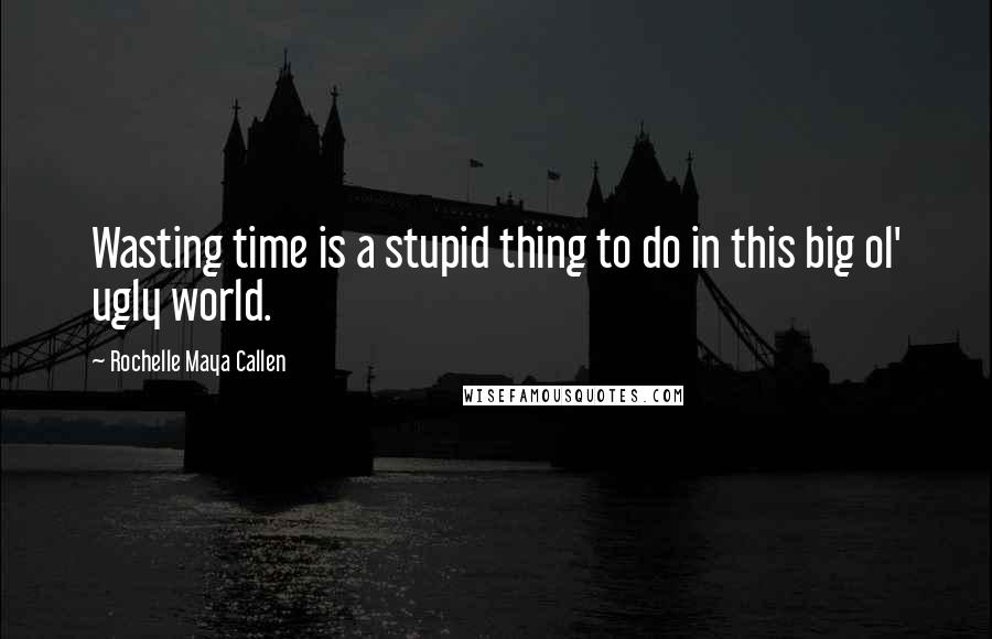 Rochelle Maya Callen Quotes: Wasting time is a stupid thing to do in this big ol' ugly world.
