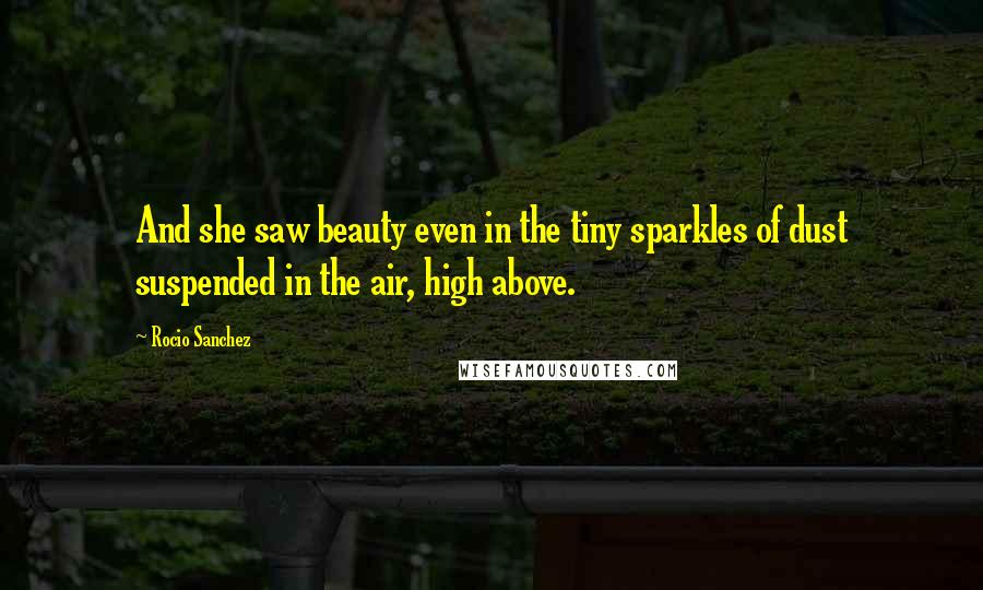 Rocio Sanchez Quotes: And she saw beauty even in the tiny sparkles of dust suspended in the air, high above.