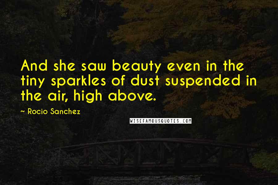 Rocio Sanchez Quotes: And she saw beauty even in the tiny sparkles of dust suspended in the air, high above.