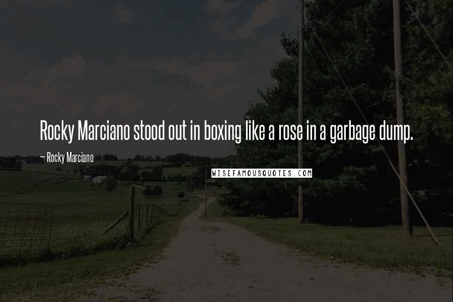 Rocky Marciano Quotes: Rocky Marciano stood out in boxing like a rose in a garbage dump.