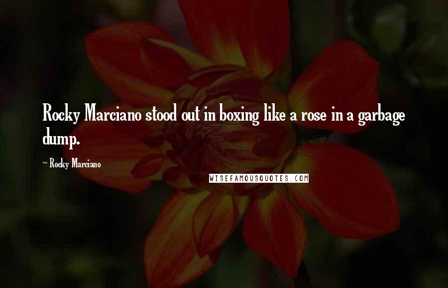 Rocky Marciano Quotes: Rocky Marciano stood out in boxing like a rose in a garbage dump.