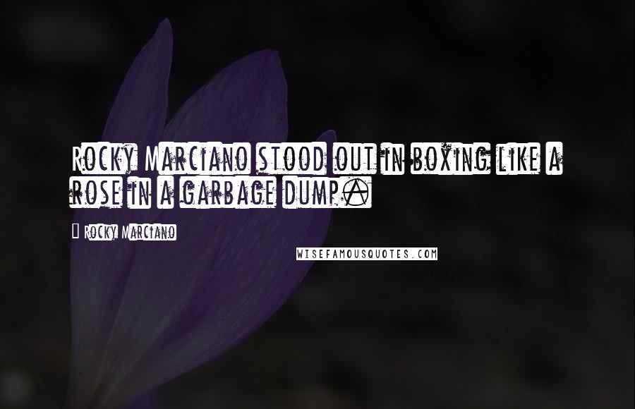 Rocky Marciano Quotes: Rocky Marciano stood out in boxing like a rose in a garbage dump.