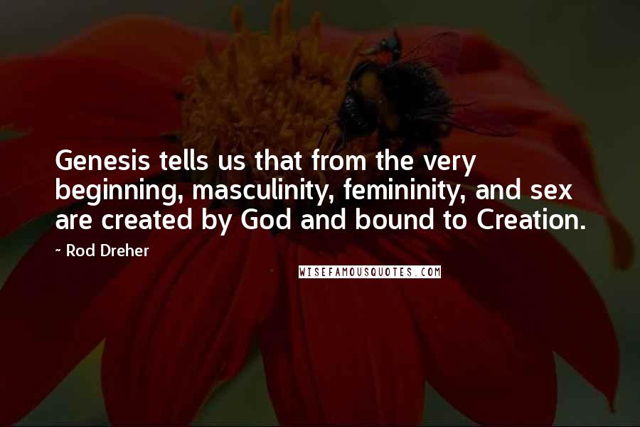 Rod Dreher Quotes: Genesis tells us that from the very beginning, masculinity, femininity, and sex are created by God and bound to Creation.