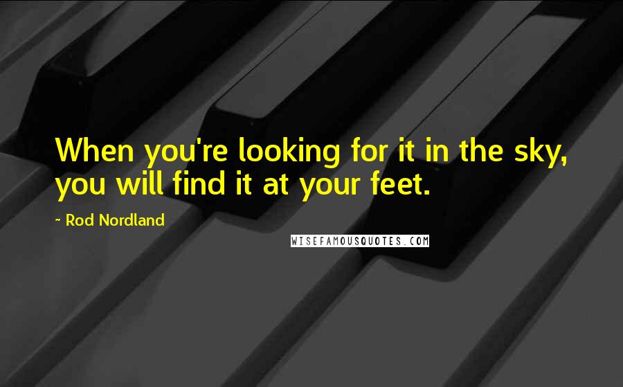 Rod Nordland Quotes: When you're looking for it in the sky, you will find it at your feet.