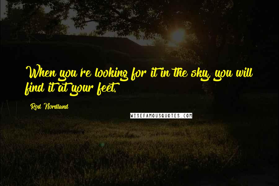 Rod Nordland Quotes: When you're looking for it in the sky, you will find it at your feet.