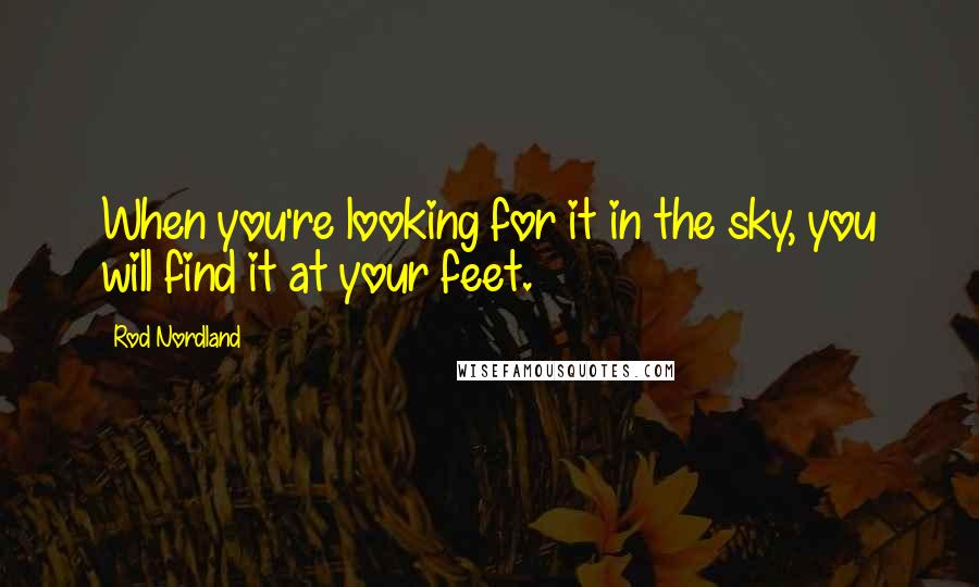 Rod Nordland Quotes: When you're looking for it in the sky, you will find it at your feet.