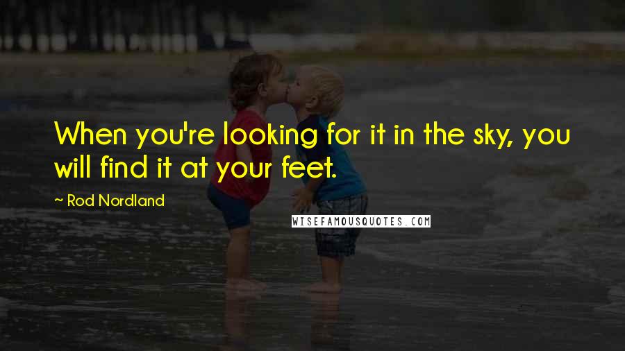 Rod Nordland Quotes: When you're looking for it in the sky, you will find it at your feet.