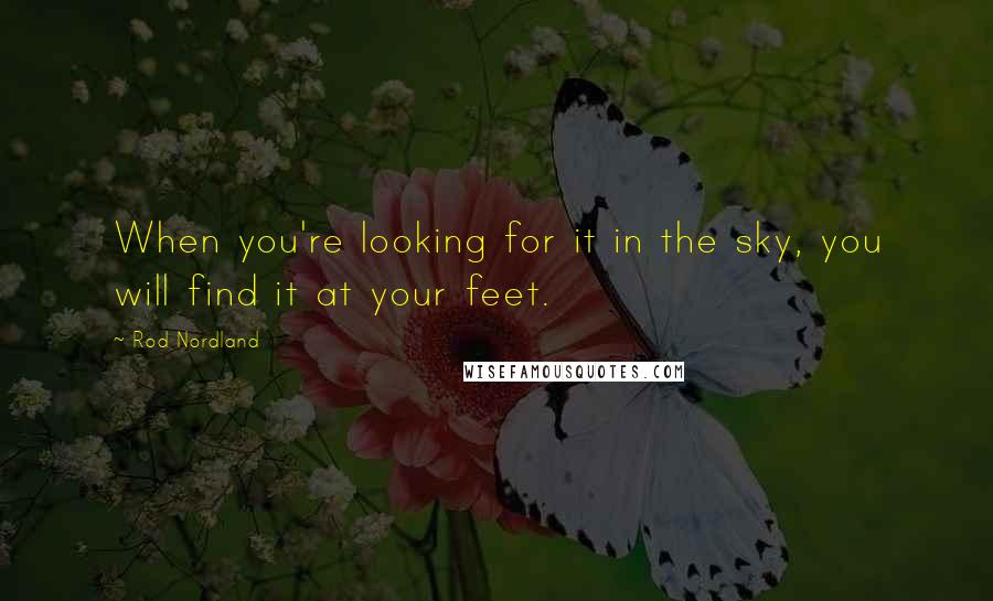 Rod Nordland Quotes: When you're looking for it in the sky, you will find it at your feet.