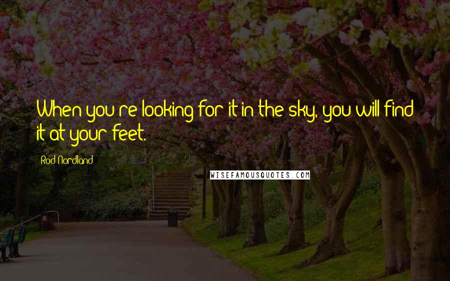 Rod Nordland Quotes: When you're looking for it in the sky, you will find it at your feet.